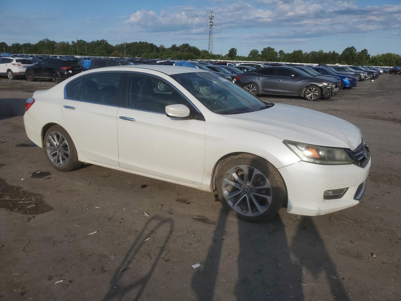 HONDA ACCORD SPORT