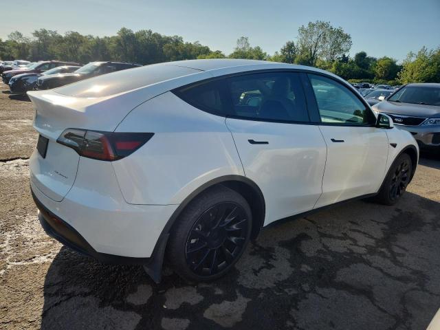 2021 TESLA MODEL Y 5YJYGDEE3MF243156