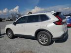 Lot #3303577942 2024 HONDA CR-V EX
