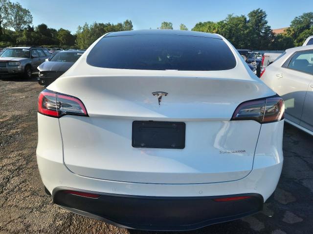 2021 TESLA MODEL Y 5YJYGDEE3MF243156