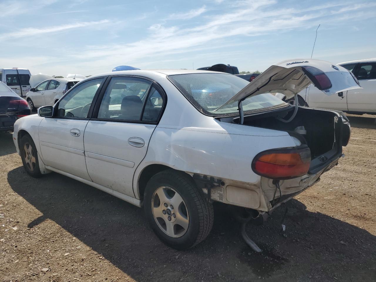 Lot #3304048486 2002 CHEVROLET MALIBU LS