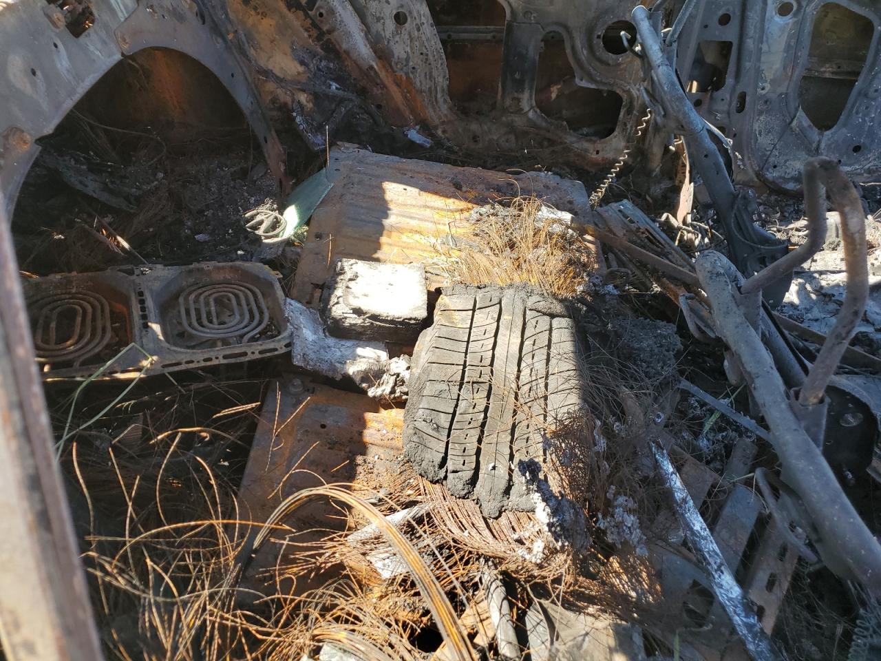 Global Auto Auctions