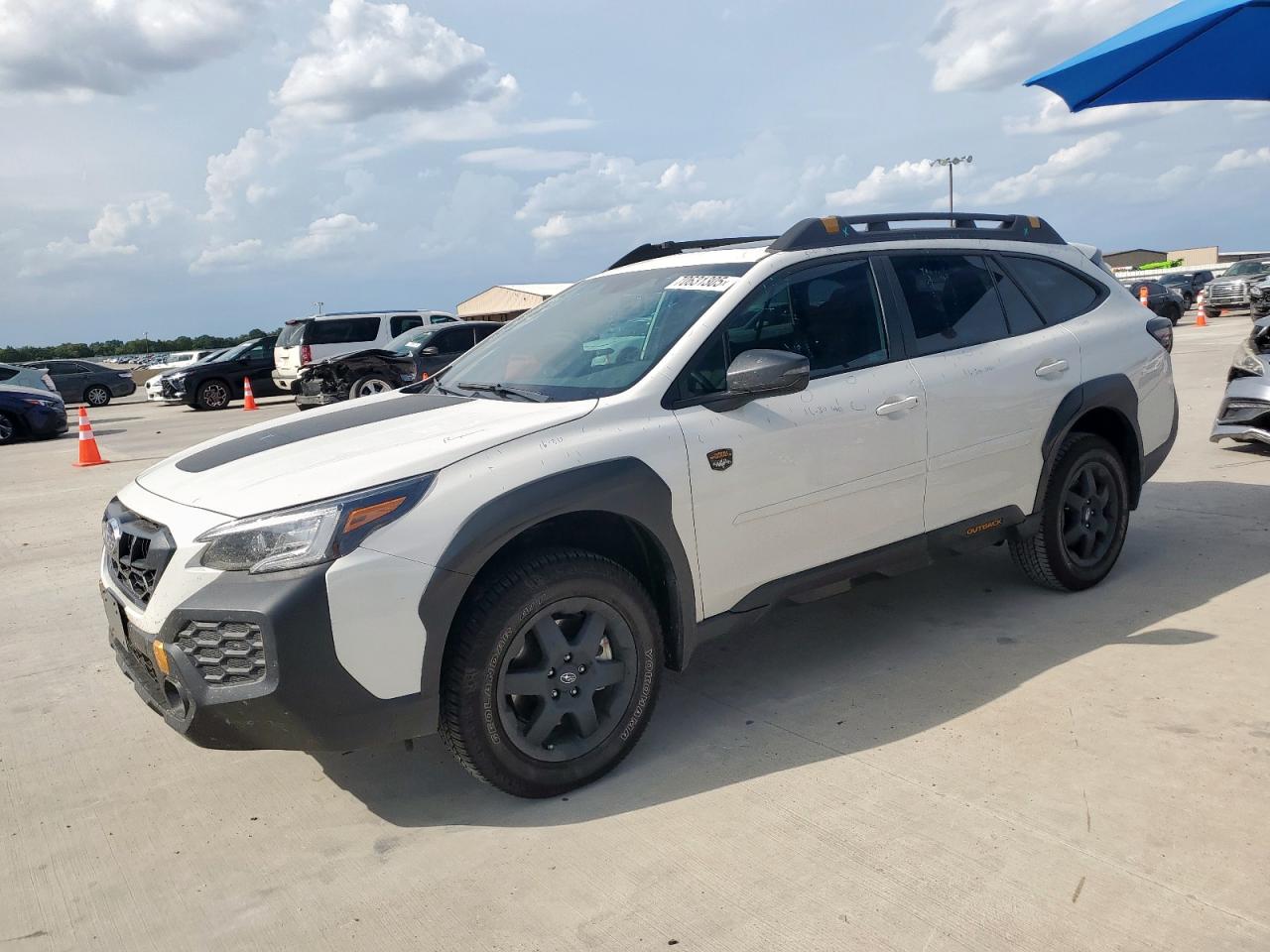SUBARU OUTBACK WILDERNESS