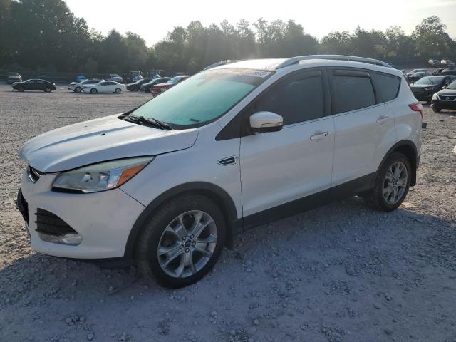Global Auto Auctions: 2014 FORD ESCAPE TITANIUM