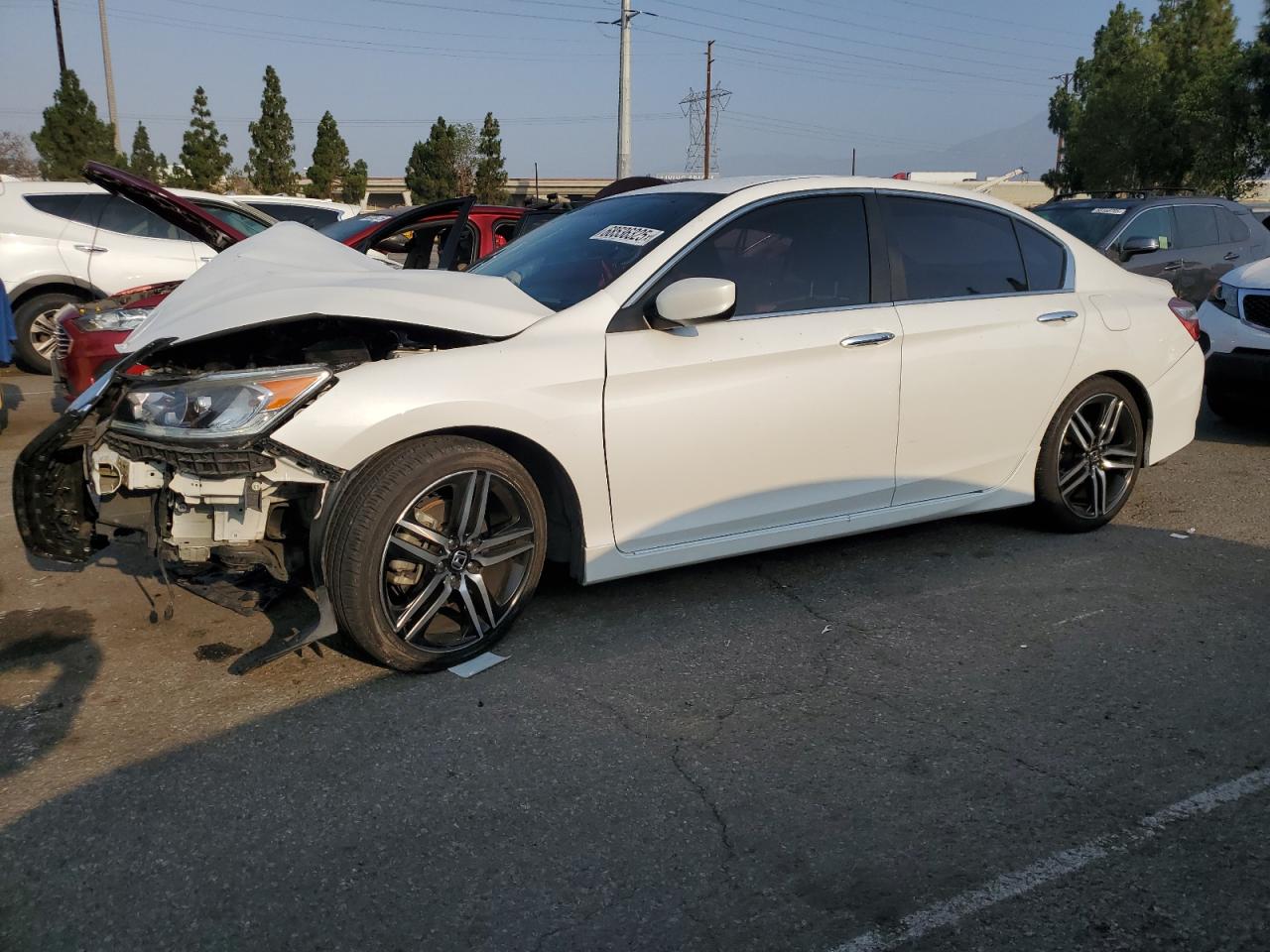 HONDA ACCORD SPORT SPECIAL EDITION