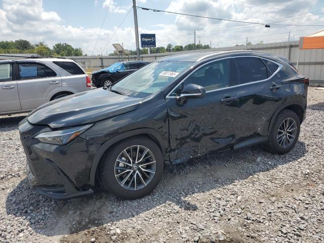LEXUS NX 350 PRE