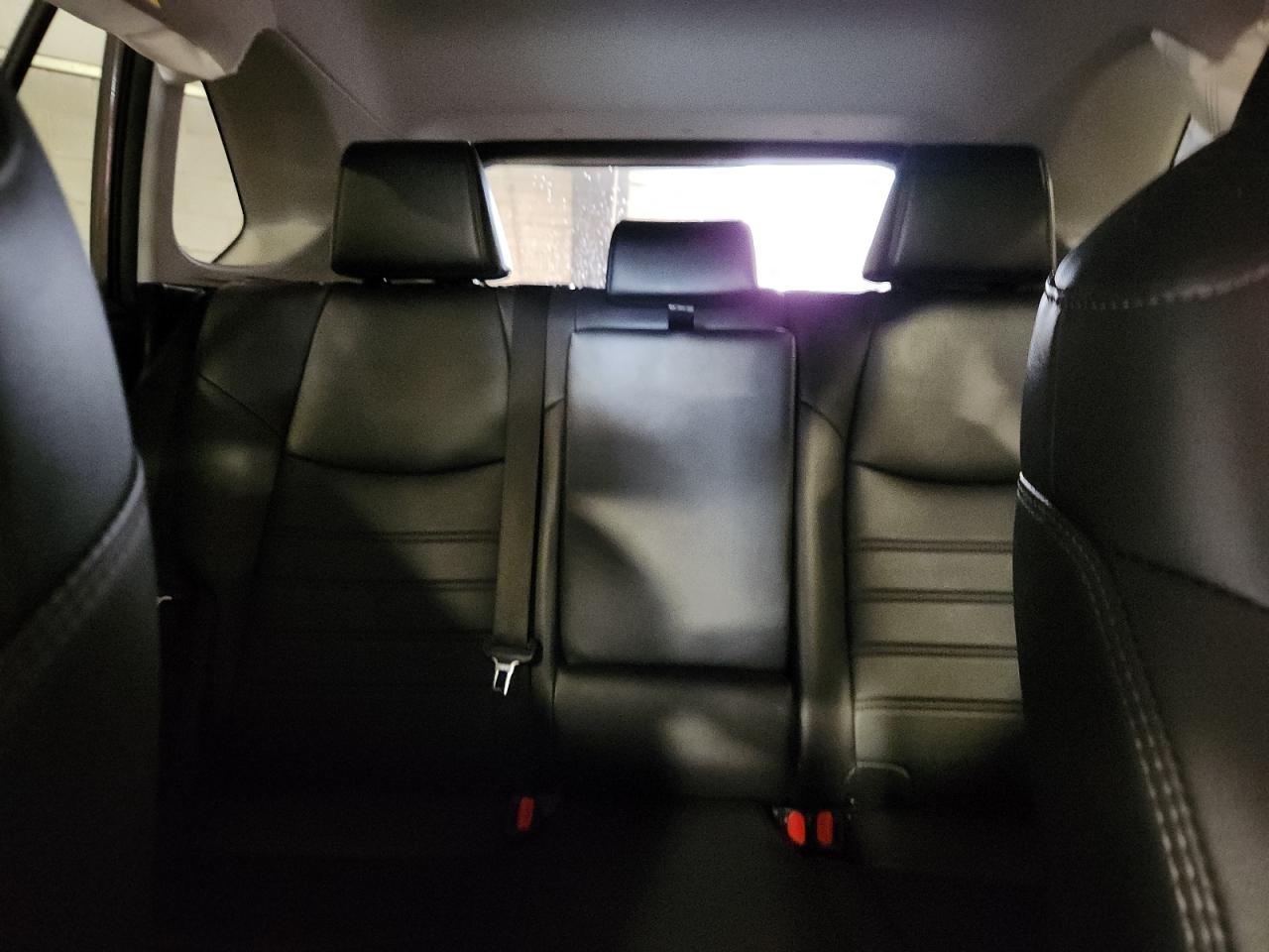 TOYOTA RAV4 XLE PREMIUM