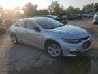 Lot #3309498562 2019 CHEVROLET MALIBU LS