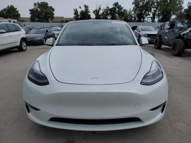 2023 TESLA MODEL Y 7SAYGDEF8PF646582