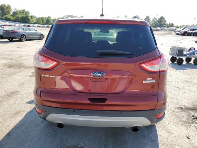2014 FORD ESCAPE SE - 1FMCU0GX2EUA75847