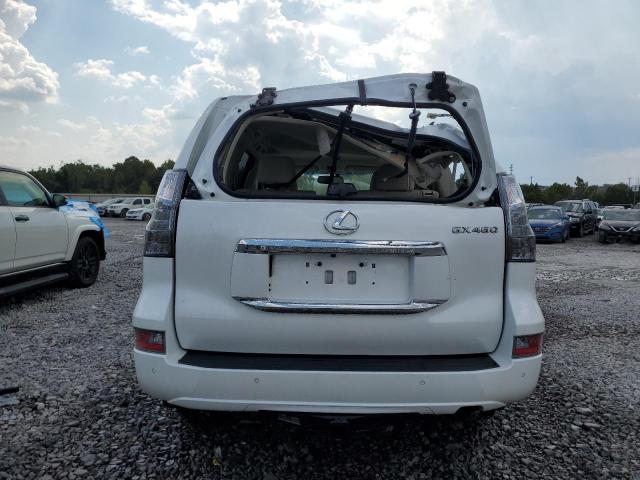 2019 LEXUS GX 460 JTJBM7FX0K5217481