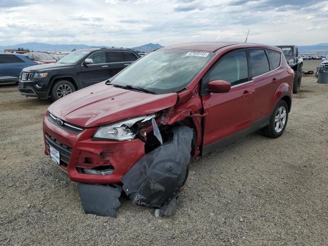 Global Auto Auctions: 2014 FORD ESCAPE SE