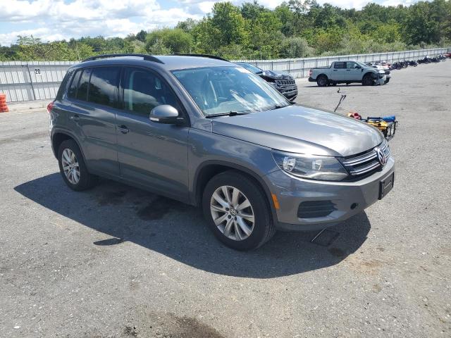 2017 VOLKSWAGEN TIGUAN S WVGBV7AXXHK012411