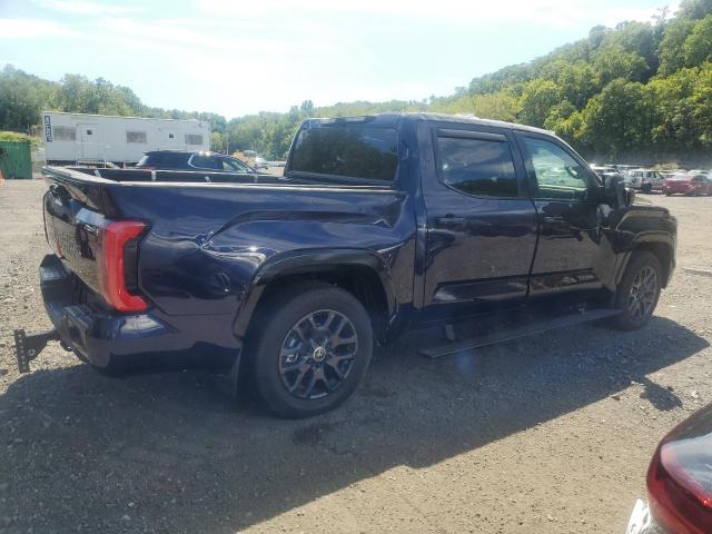 2024 TOYOTA TUNDRA CREWMAX PLATINUM 5TFNC5AB5RX003782