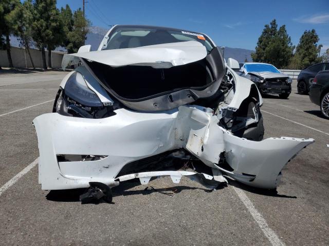 2024 TESLA MODEL Y 7SAYGDEE5RF213540