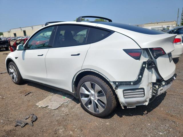 2021 TESLA MODEL Y 5YJYGDEE1MF244760