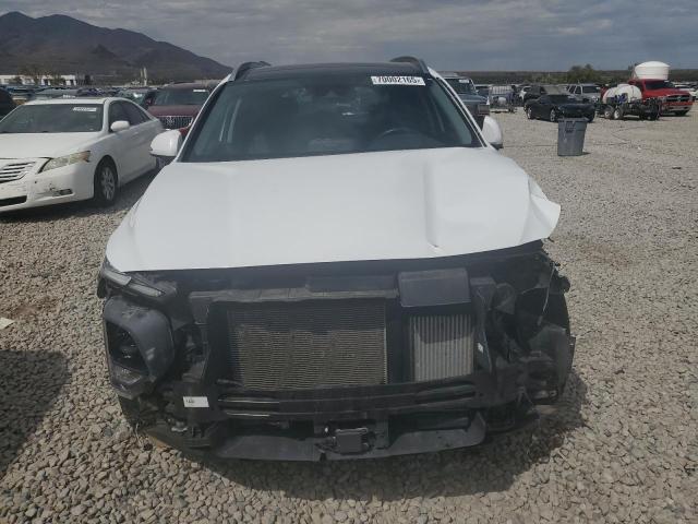 2019 HYUNDAI SANTA FE L - 5NMS5CAA3KH081114
