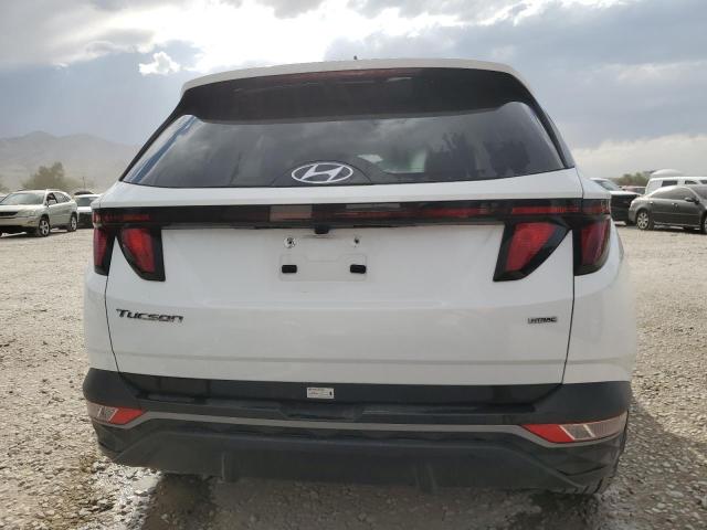 2024 HYUNDAI TUCSON SEL - 5NMJBCDEXRH342977