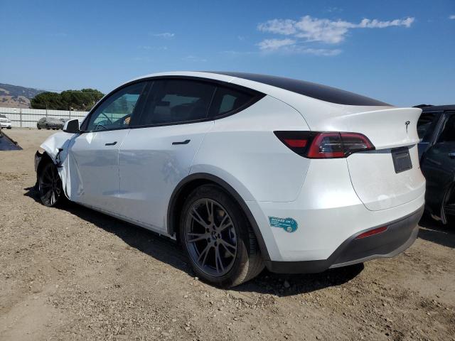 2024 TESLA MODEL Y - 7SAYGDEE9RF186598