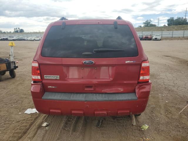 2011 FORD ESCAPE XLT - 1FMCU9D71BKC11630