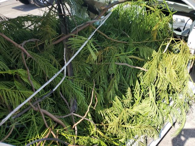 2012 BENTLEY CONTINENTA #3220384649