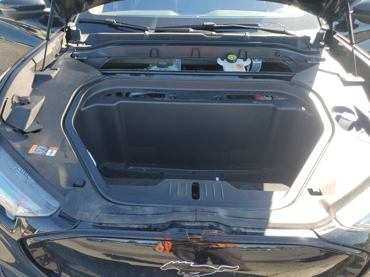 Lot #3315929085 2023 FORD MUSTANG MA