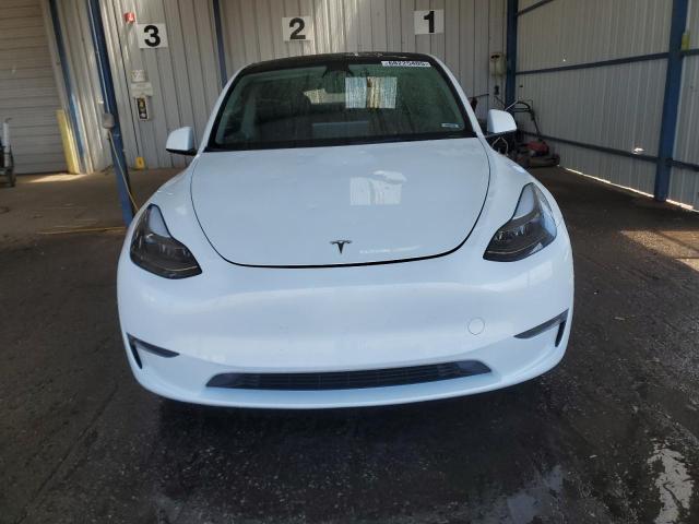 2023 TESLA MODEL Y 7SAYGDEE1PF781748