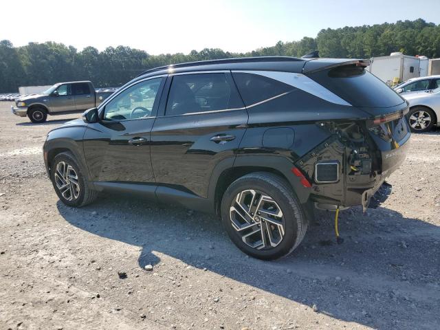 2025 HYUNDAI TUCSON LIMITED KM8JEDD19SU311711