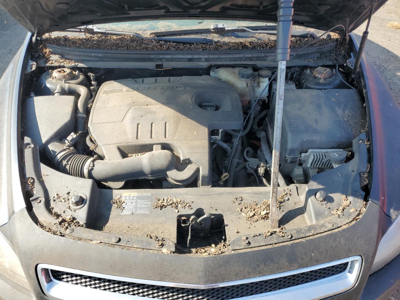 CHEVROLET MALIBU 1LT