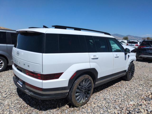 2025 HYUNDAI SANTA FE L 5NMP3DG11SH050789