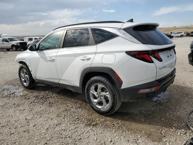 2024 HYUNDAI TUCSON SEL - 5NMJBCDEXRH342977