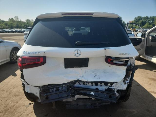 2023 MERCEDES-BENZ GLB 250 4M W1N4M4HBXPW322020