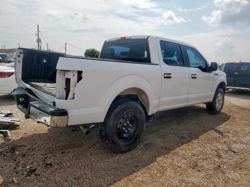 2019 FORD F150 SUPERCREW - 1FTEW1EP8KKE91862