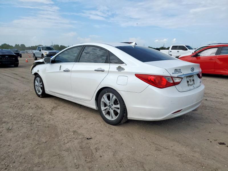 2011 HYUNDAI SONATA SE - 5NPEC4AC4BH070555