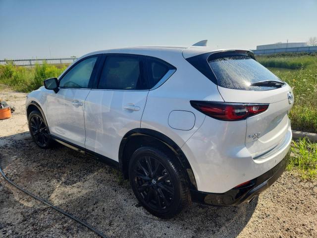 2025 MAZDA CX-5 CARBO JM3KFBAY8S0545588
