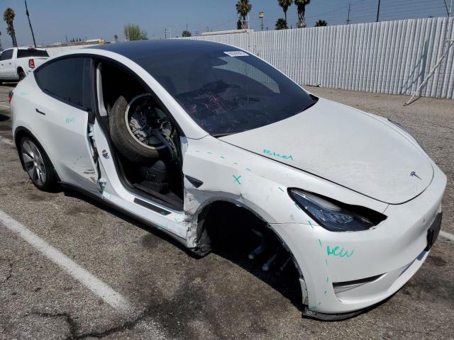 2023 TESLA MODEL Y 7SAYGDEE5PF602269