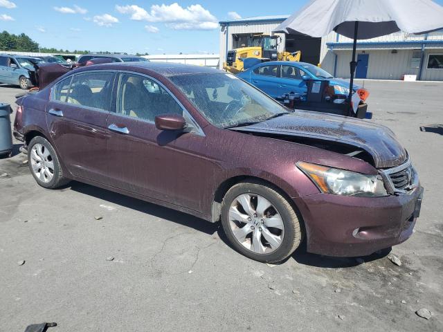 2010 HONDA ACCORD EXL - 5KBCP3F86AB017011