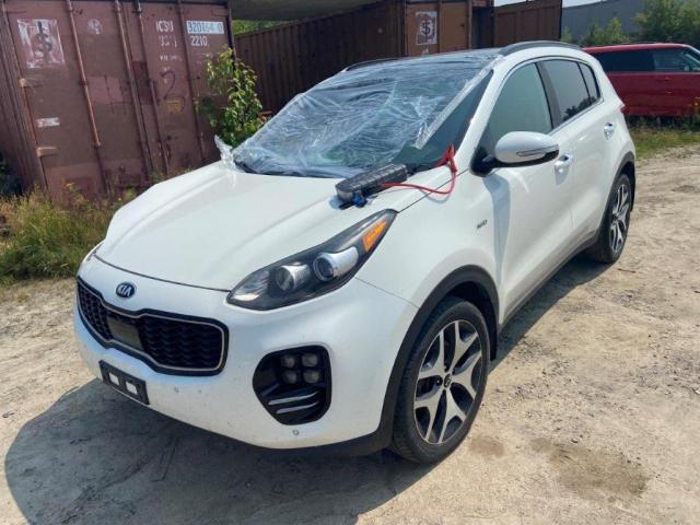 2019 KIA SPORTAGE S - KNDPRCA61K7568406