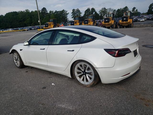 2023 TESLA MODEL 3 5YJ3E1EA1PF604223