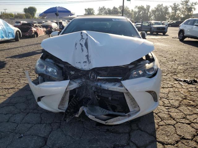 2016 TOYOTA CAMRY LE - 4T1BF1FK7GU259251