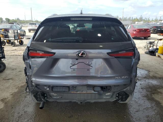2020 LEXUS NX 300 - JTJDARBZ1L2176317