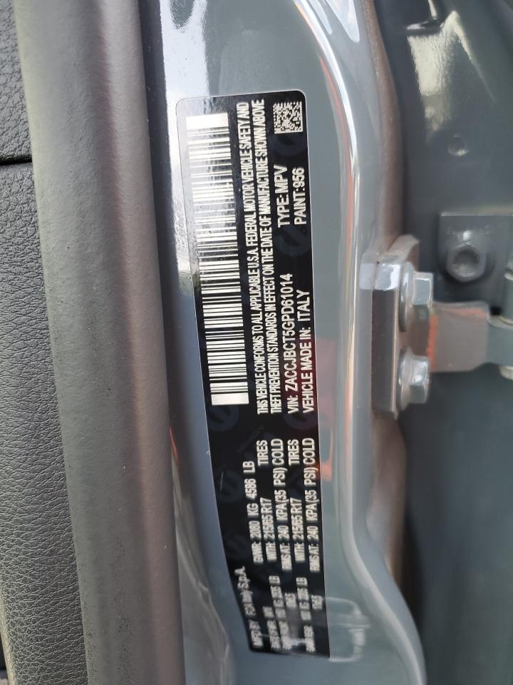 JEEP RENEGADE TRAILHAWK