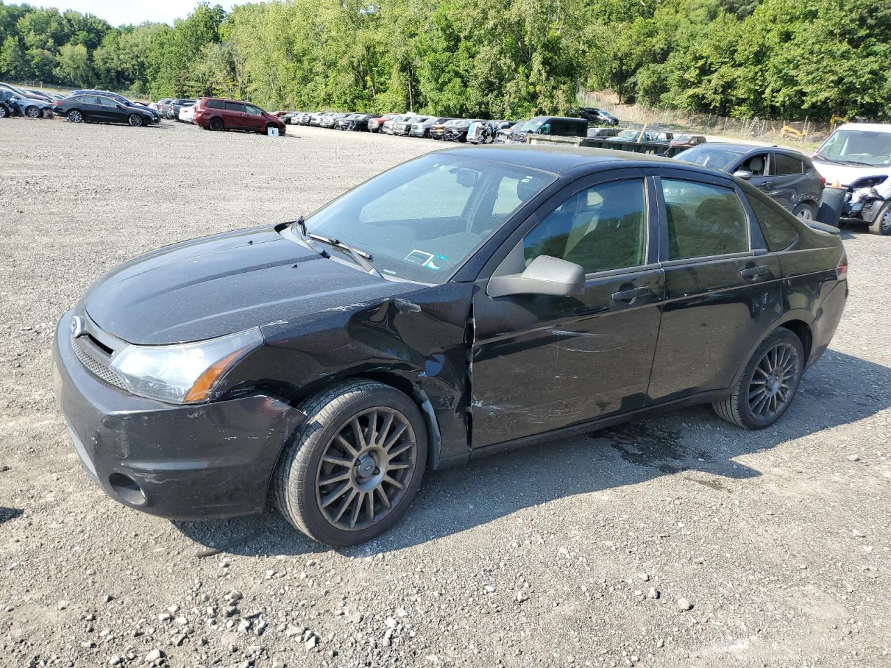 FORD FOCUS SES