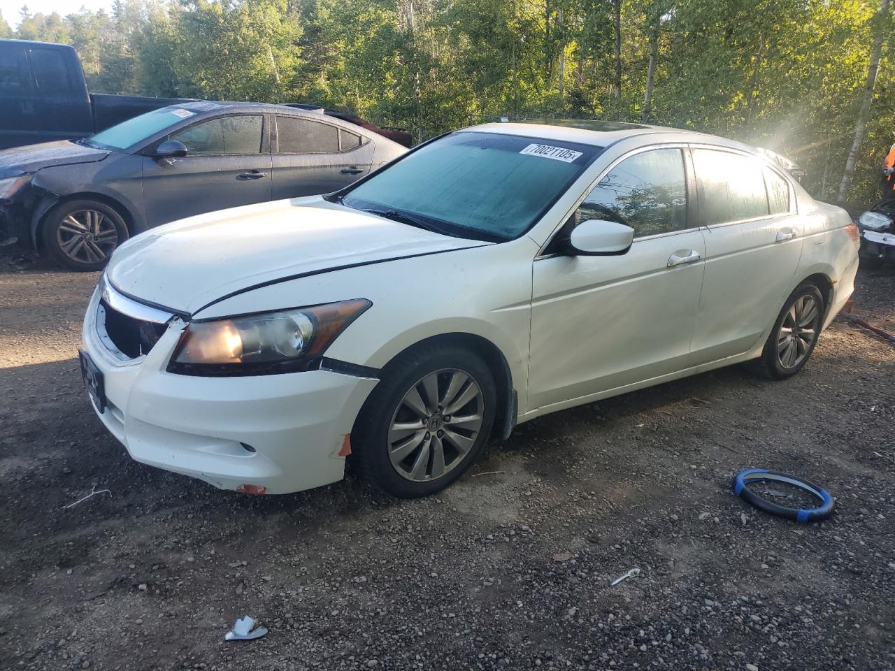 HONDA ACCORD EXL