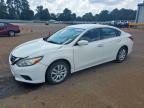 2017 NISSAN ALTIMA 2.5 - 1N4AL3APXHC194402