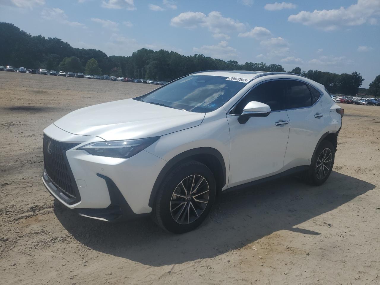 LEXUS NX 350H BASE