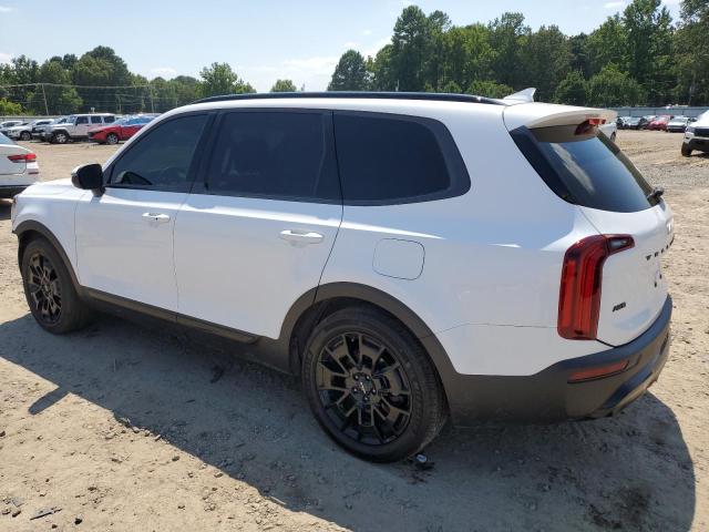 2022 KIA TELLURIDE EX 5XYP3DHC9NG217804