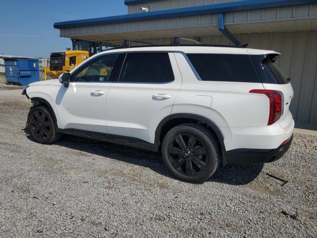 2025 HYUNDAI PALISADE X KM8R34GE8SU947673