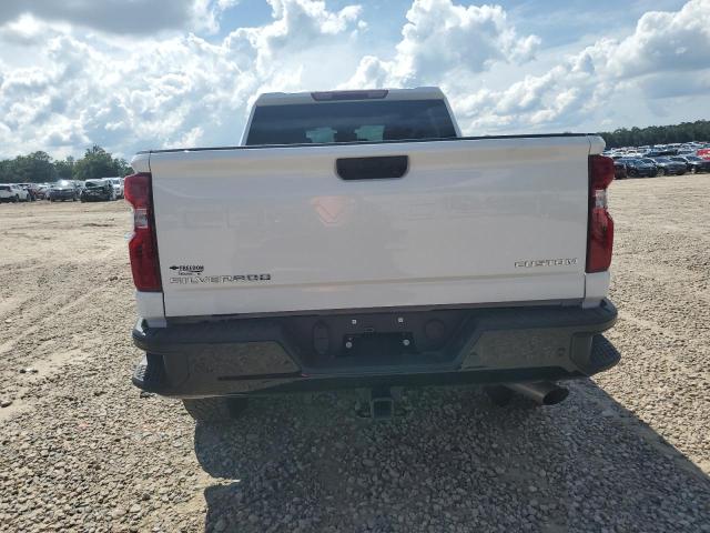 2025 CHEVROLET SILVERADO K2500 CUSTOM 1GC4KME7XSF318491
