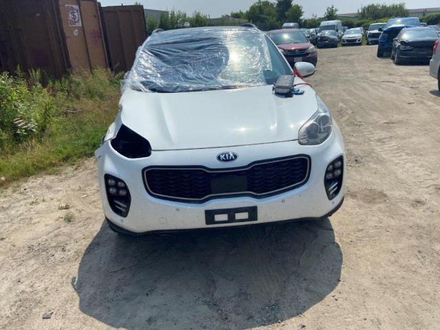 2019 KIA SPORTAGE S - KNDPRCA61K7568406